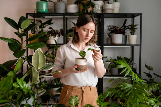 Plant Parenting 101: A Beginner's Guide to Caring for Indoor Plants